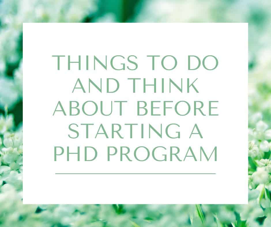 what to do before phd